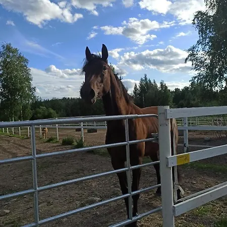 Bb Polle - With The Horse View Apartment Mikkeli Exterior photo