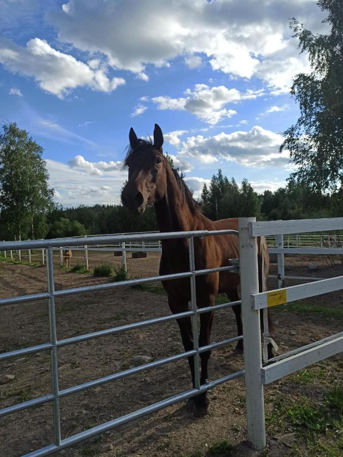 Huoneisto Bb Polle - With The Horse View Mikkeli